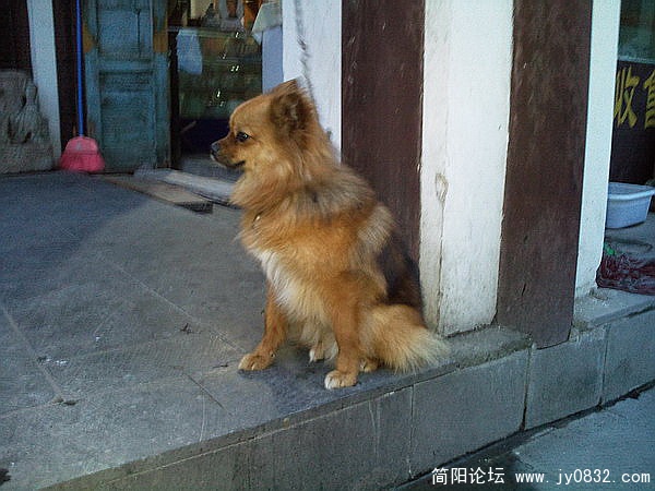 照片1286_调整大小.jpg