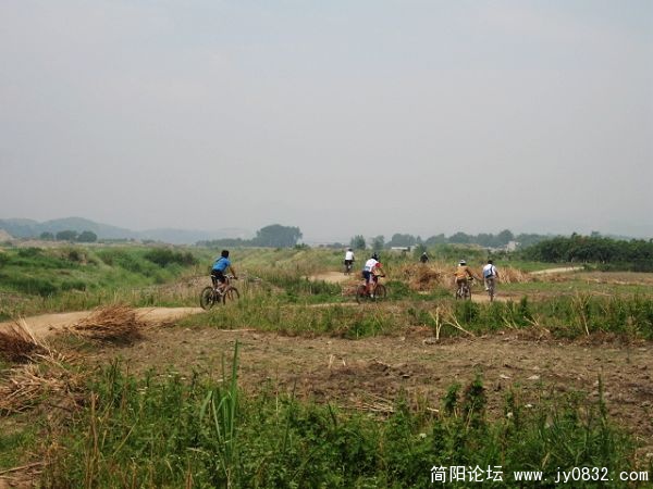 IMG_5154.jpg