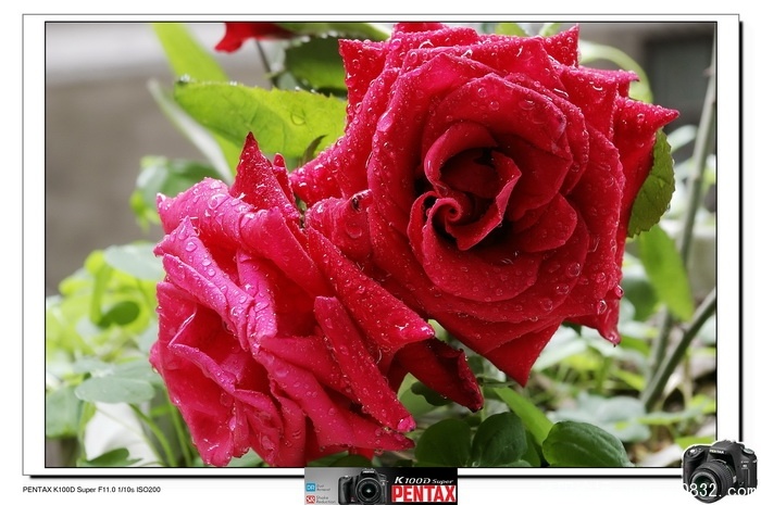 _IGP4812.jpg