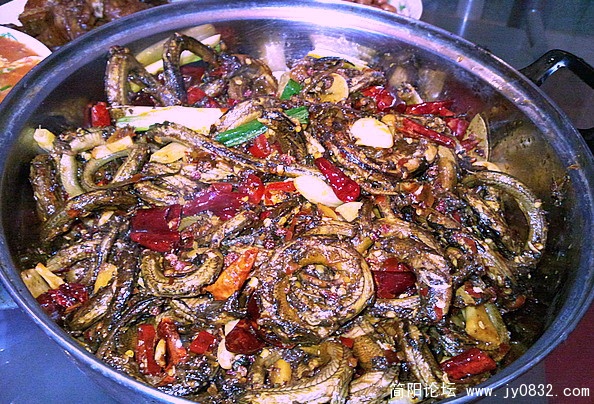 照片1335.jpg