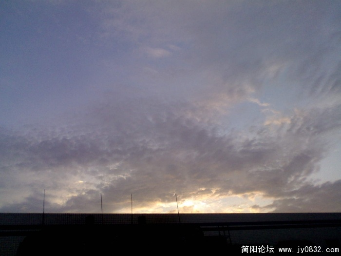 DSC_00987.jpg