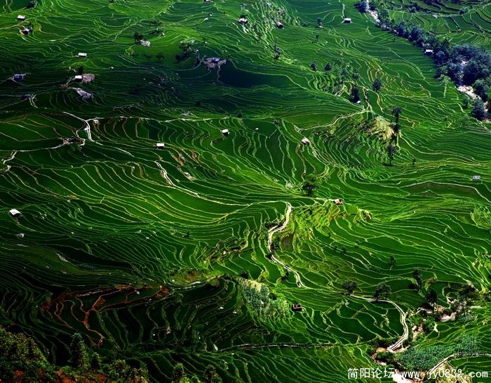 357_5422_052922e80de3e73.jpg