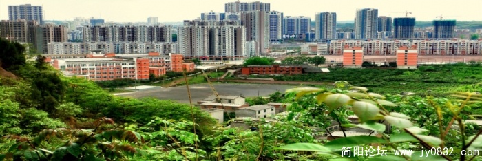 P1100614_备份.jpg