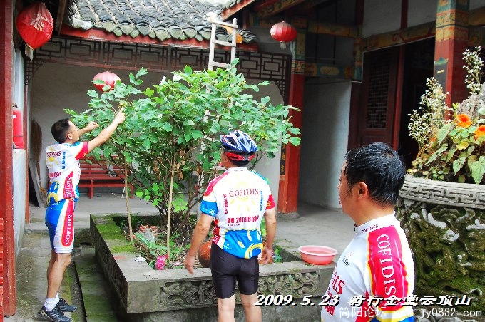 BigBull_DSC_5539.JPG
