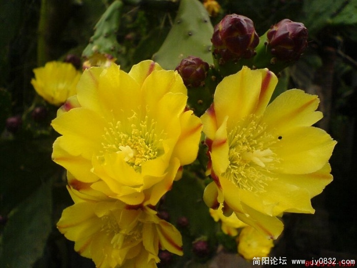 DSC04807.JPG