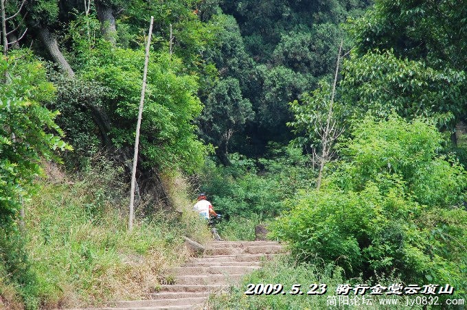 BigBull_DSC_5467.JPG