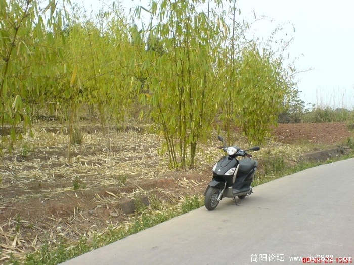 DSC04805.JPG