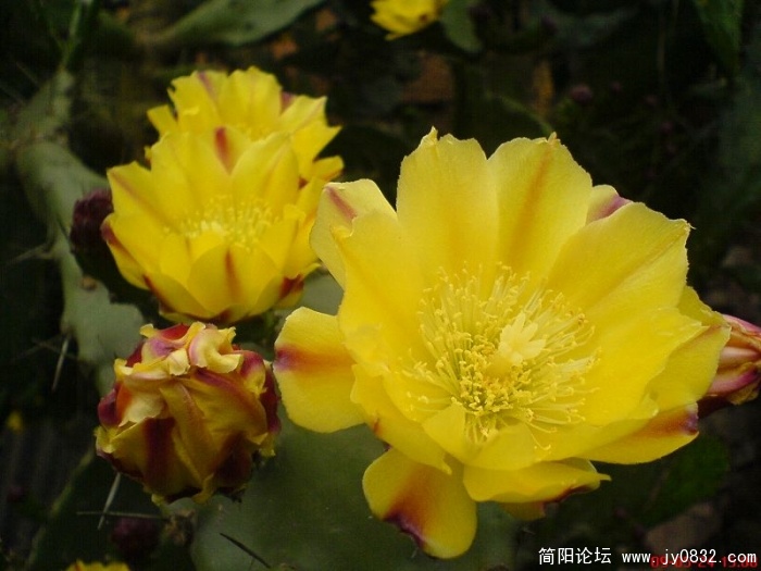 DSC04808.JPG