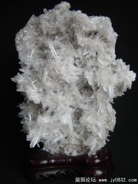 2008479342372364[1].jpg