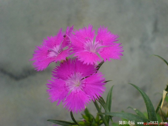 DSC04819.JPG