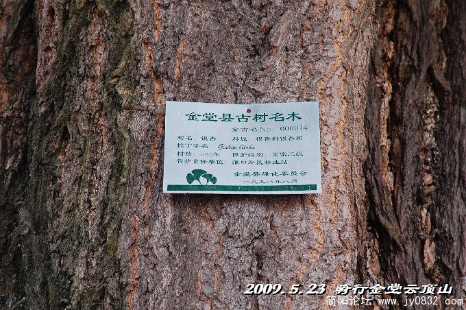 从这牌子上看它们的年龄只有480多岁