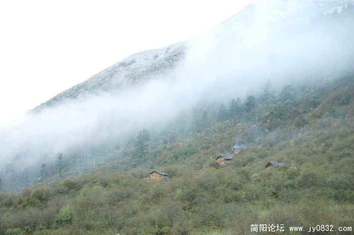 DSC_7134.jpg