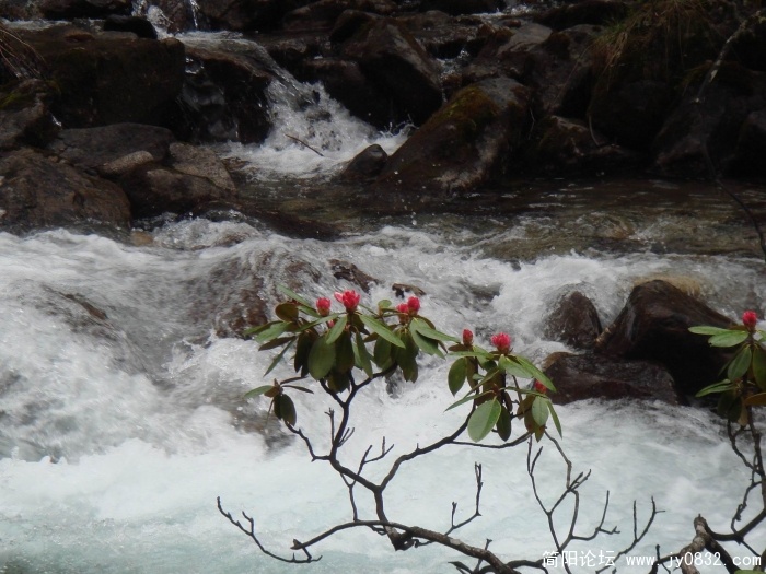 调整大小 DSC04615.jpg