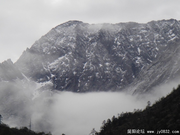 调整大小 DSC04590.jpg
