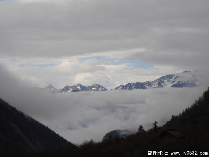 DSC04589.jpg