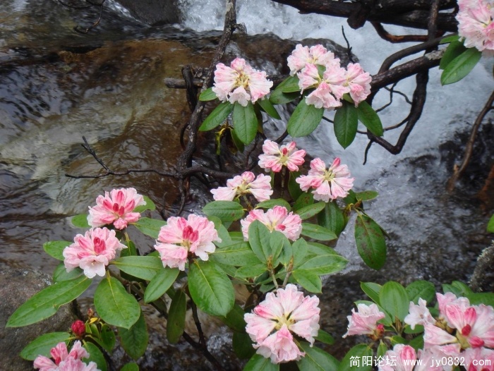 调整大小 DSC04617.jpg