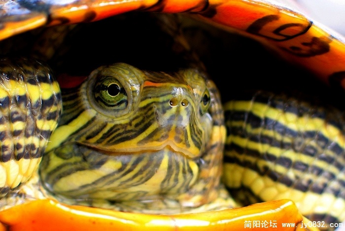20090529_6201a5d3033c571999cfSqx0UvpCPQD8.jpg