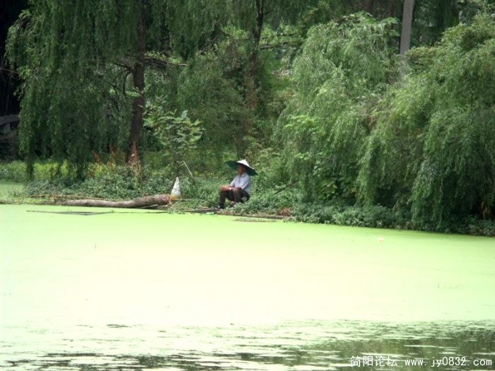 DSCF0243.JPG