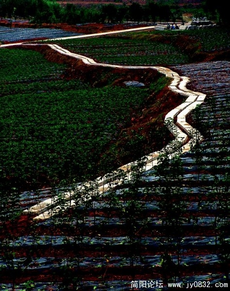 路 副本.jpg