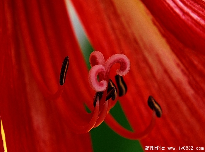 微.2.jpg