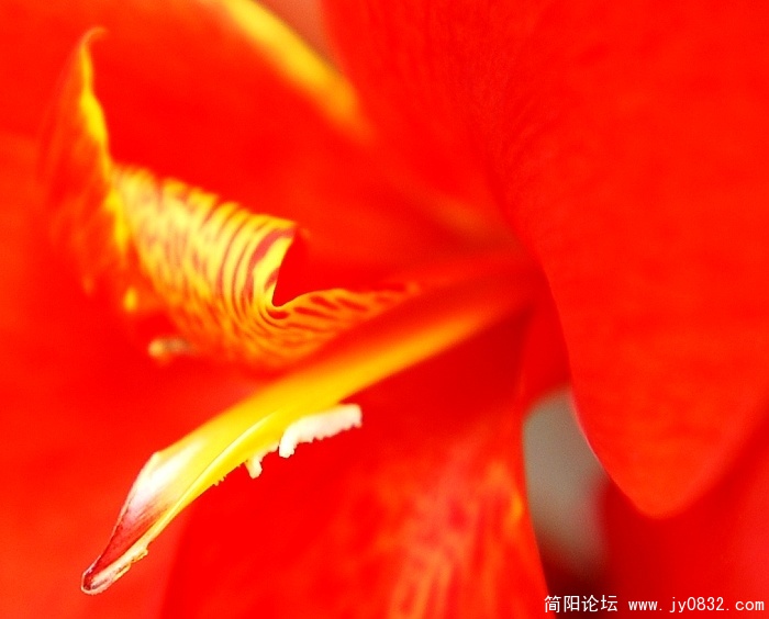 花草2.jpg