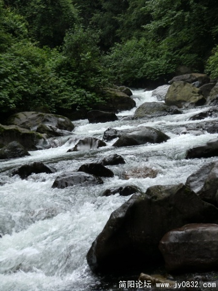 2009.5.29黑竹沟 093.JPG