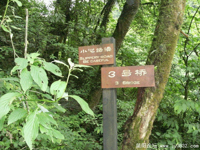 2009.5.29黑竹沟 091.JPG