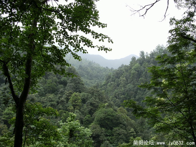 2009.5.29黑竹沟 104.JPG