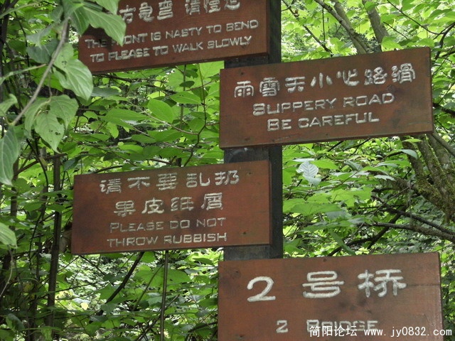 2009.5.29黑竹沟 089.JPG