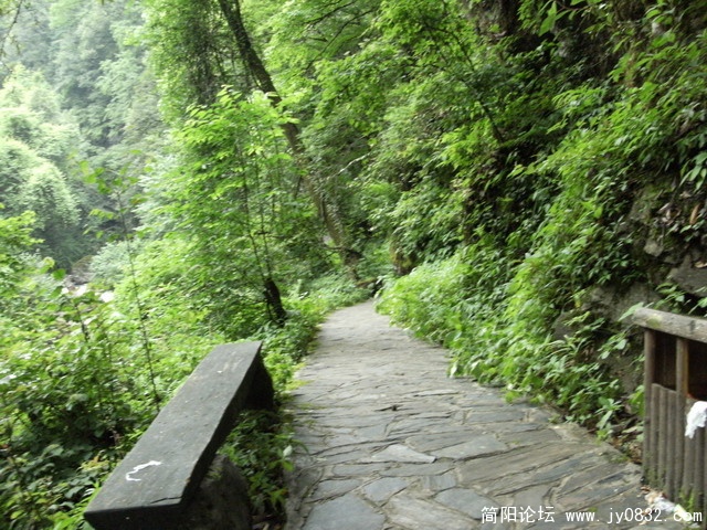 2009.5.29黑竹沟 102.JPG