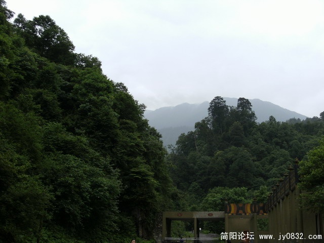 2009.5.29黑竹沟 087.JPG