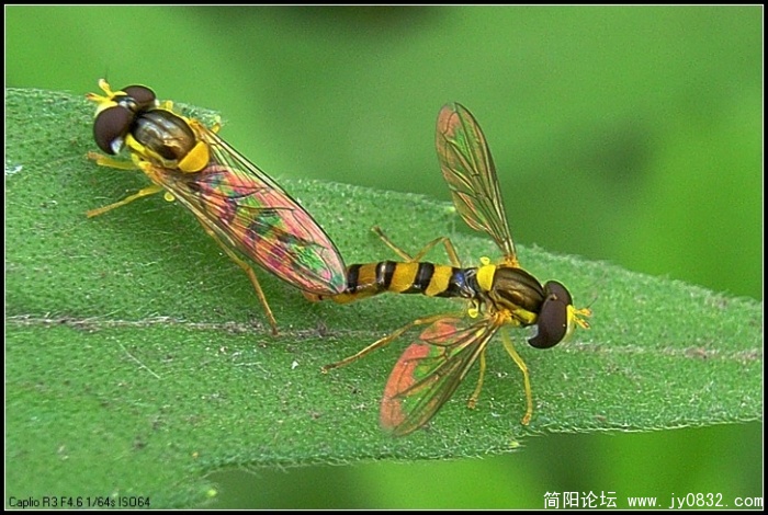 20095241646268543.jpg
