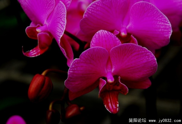 20092623414391233.jpg