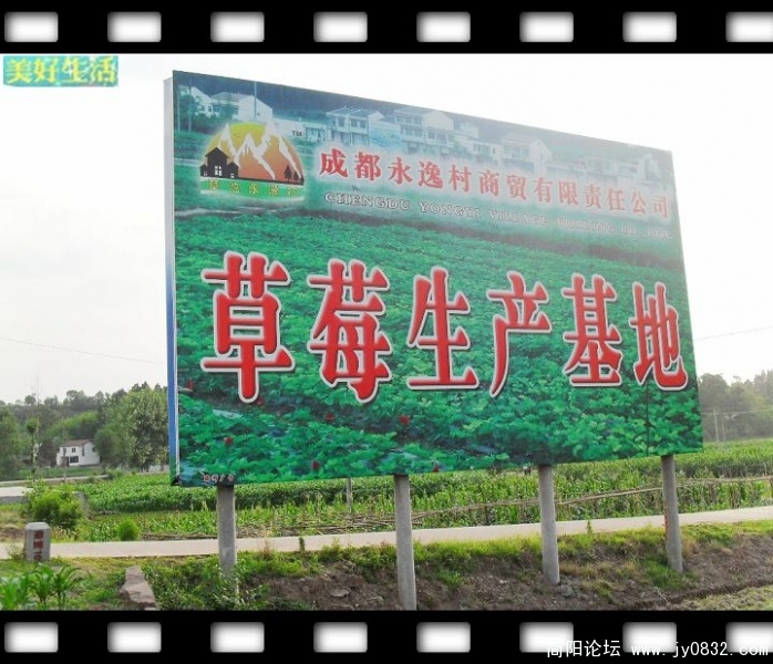 SDC10031.JPG