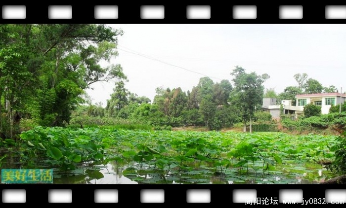 SDC10038.JPG