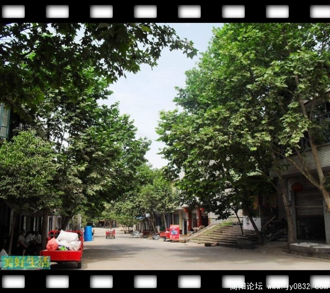 SDC10011.JPG