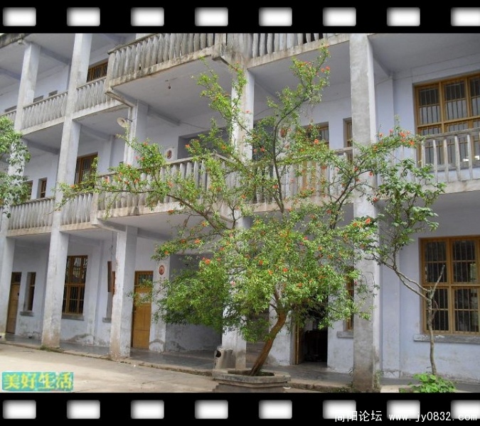 SDC10024.JPG