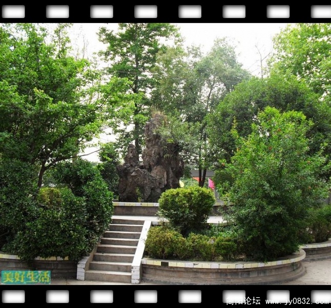 SDC10026.JPG