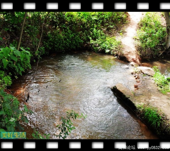 SDC10039.JPG