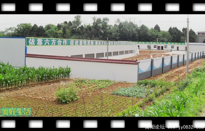 SDC10042.JPG