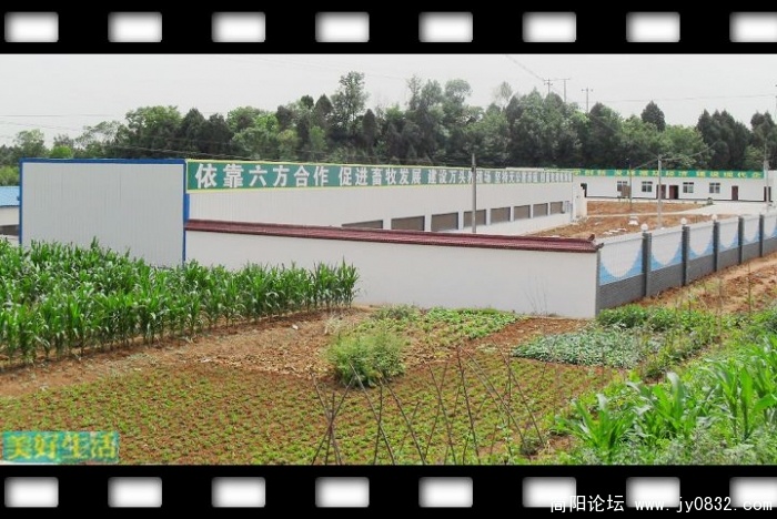 SDC10040.JPG