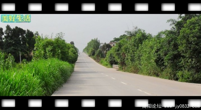 SDC10052.JPG