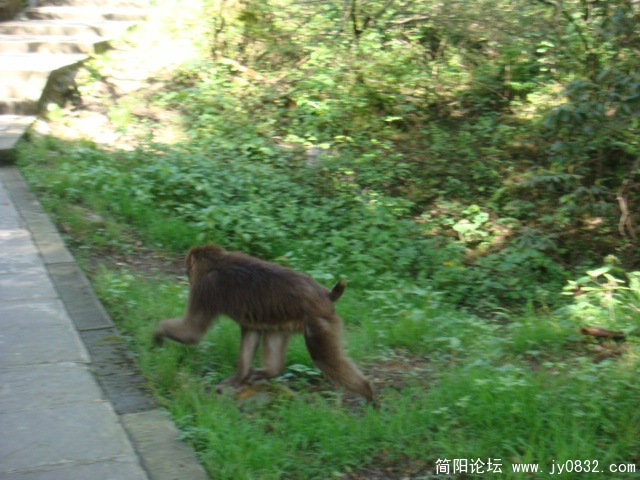 这又下来了