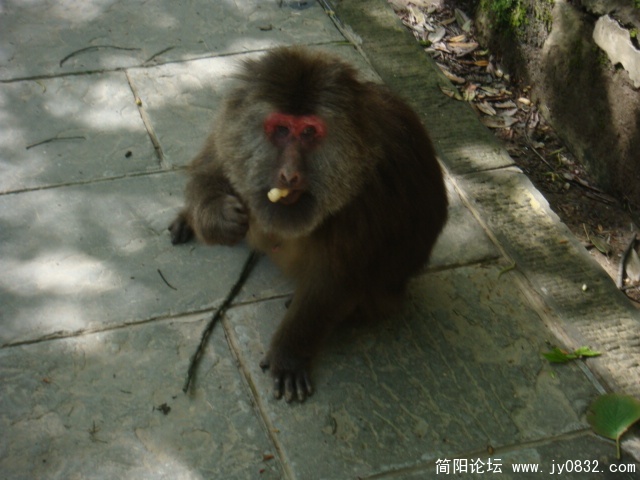 DSC01040.JPG