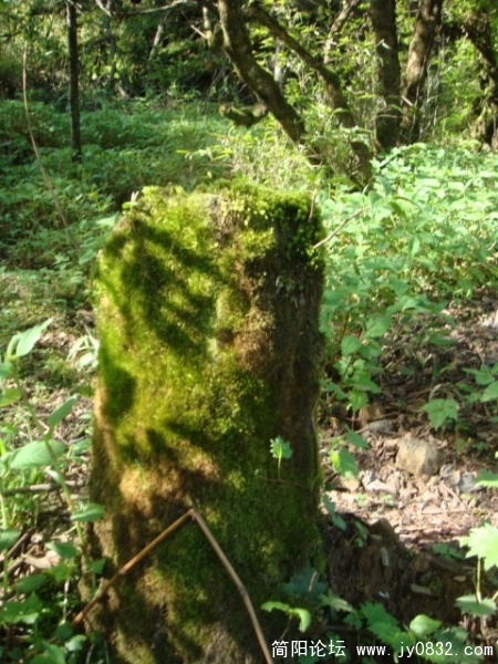 DSC01012.JPG
