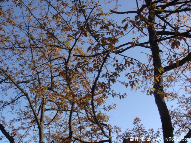 DSC00998.JPG