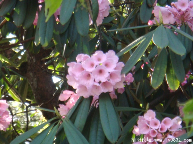 DSC01021.JPG
