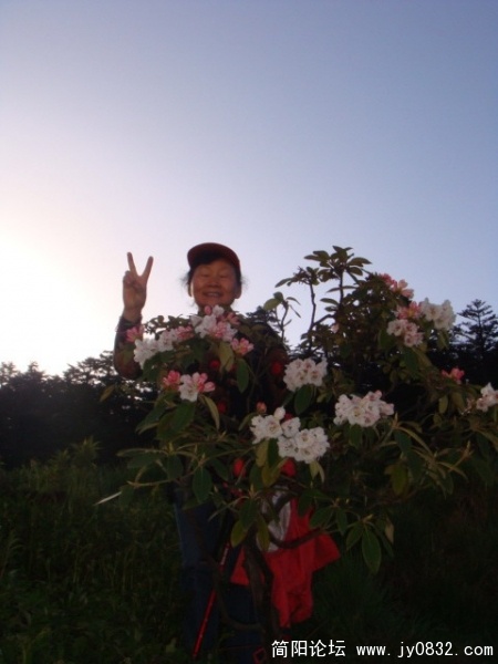 她在丛中笑，笑眯起了，嘿嘿