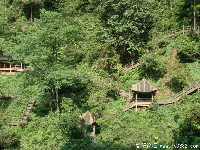 生态猴区，这里住的是文明猴了