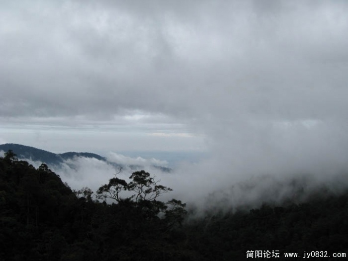 云顶赌场